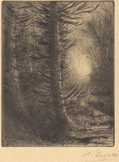 Woods in Winter Sun (1st Plate) by Alphonse Legros