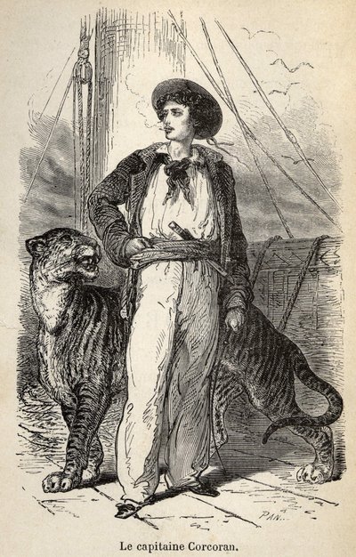 Illustration of the 