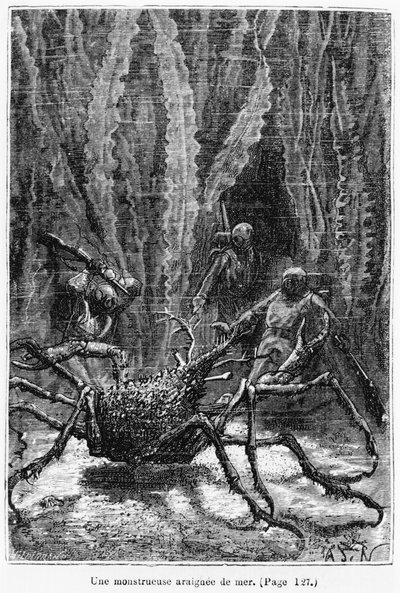 The Spider Crab by Alphonse Marie de Neuville