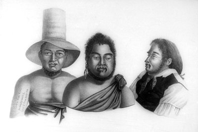 Portraits of Chiefs of the Sandwich Islands (1819) by Alphonse Pellion