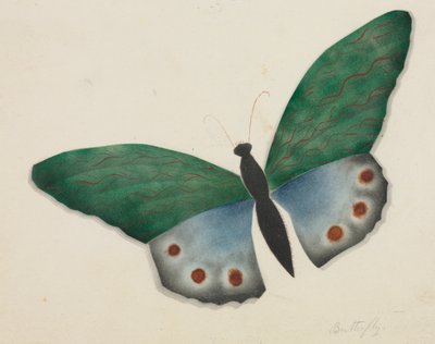 Butterfly by Altha Mary Nims