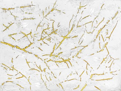 Golden Organic Texture by Alyson Storms