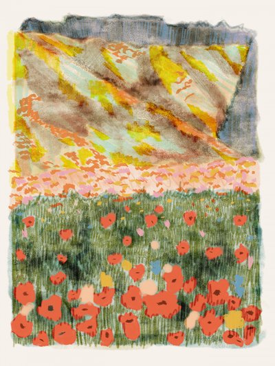 Vibrant Mountain Poppies by Alyssa Hamilton