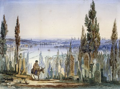 Constantinople from Eyub by Amadeo Preziosi
