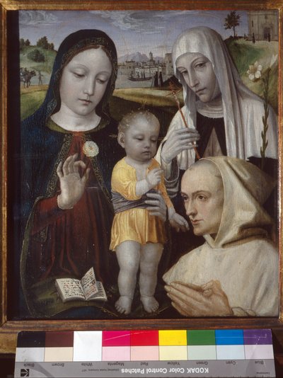 Madonna and Child, Saint Catherine of Siena and a Carthusian Monk by Ambrogio da Fossano (c.1460 1523)