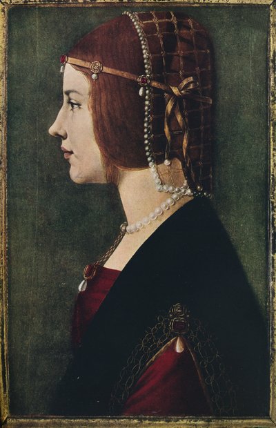 Portrait of a Young Girl by Ambrogio de Predis
