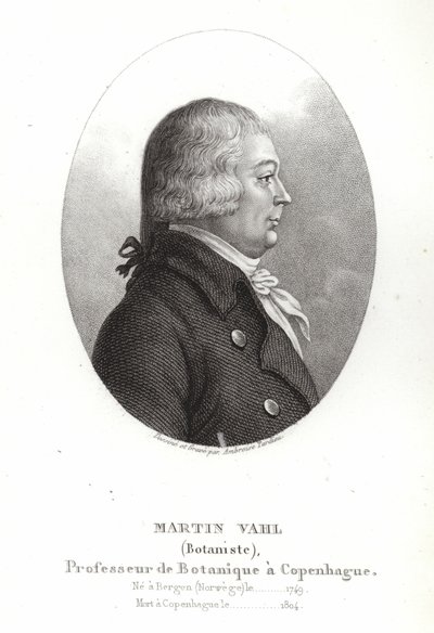 Martin Vahl by Ambroise Tardieu