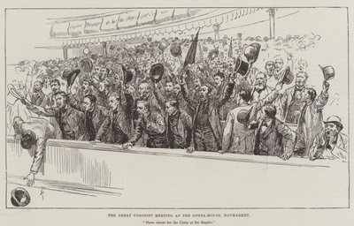 The Great Unionist Meeting at the Opera-House, Haymarket by Amedee Forestier
