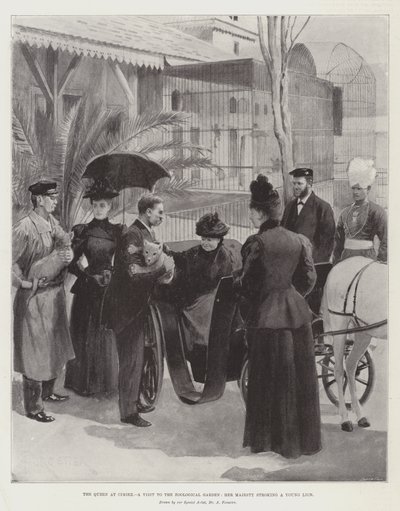 The Queen at Cimiez, a Visit to the Zoological Garden, Her Majesty Stroking a Young Lion by Amedee Forestier