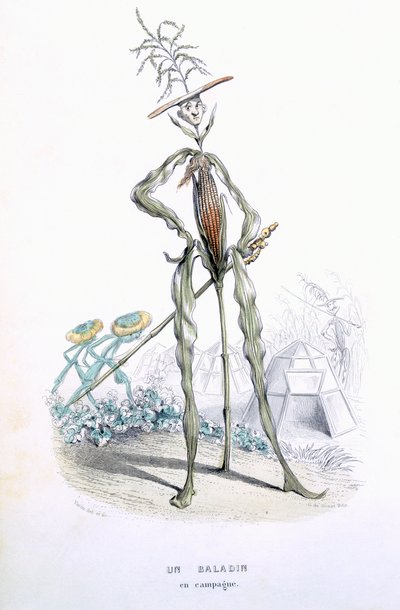 A Country Stroller, from The Empire of Vegetables, Memoirs of Curcurbitus by Amedee Varin