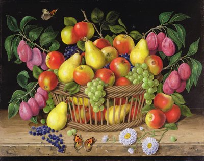 Apples, Pears, Grapes and Plums by Amelia Kleiser