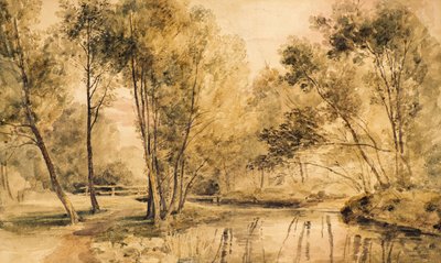 Study of Trees by Amelia Long