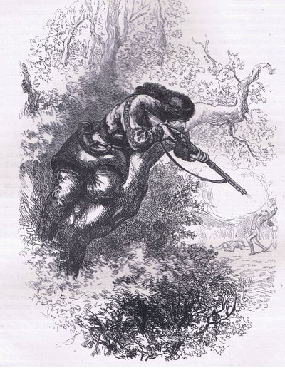 American marksman up a tree, illustration from Cassells History of the United States by American English school