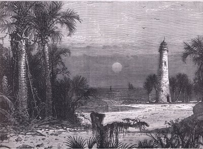 View of the coast of Florida, illustration from Cassells History of the United States published by Cassell, Petter & Galpin, c.1900 by American English school