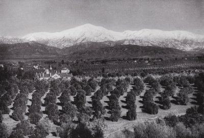 California: Redlands, from Smiley Heights, sunshine, orange groves, and snowy peaks by American Photographer (after)