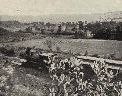 Near Tula, Mexico by American Photographer (after)