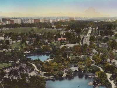 Central Park from 59th Street toward Central Park West, New York by American Photographer (after)