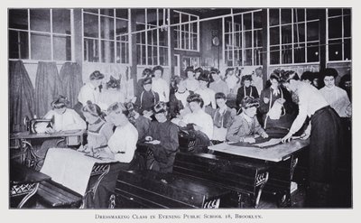 New York School Enquiry by American Photographer (after)