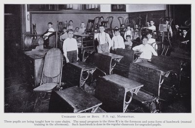 New York School Enquiry by American Photographer (after)