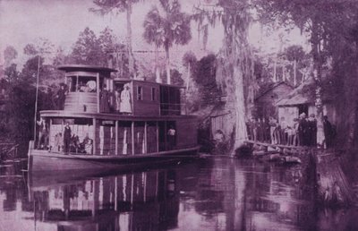On the Ocklawaha River, Florida by American Photographer (after)
