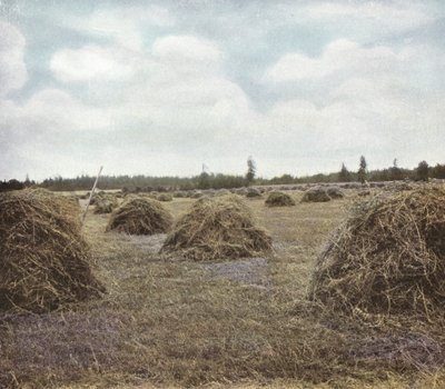 Oregon: Alfalfa by American Photographer (after)