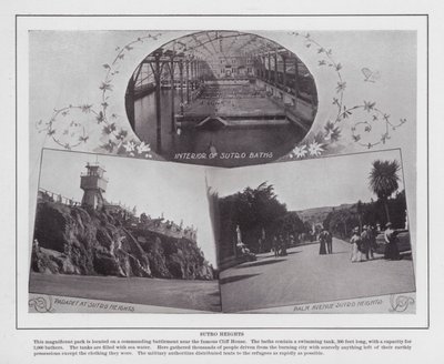 San Francisco: Sutro Heights by American Photographer (after)