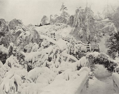 Winter Foliage on Luna Island by American Photographer (after)