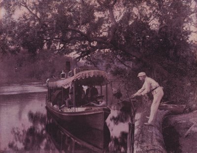 Winter in Florida by American Photographer (after)