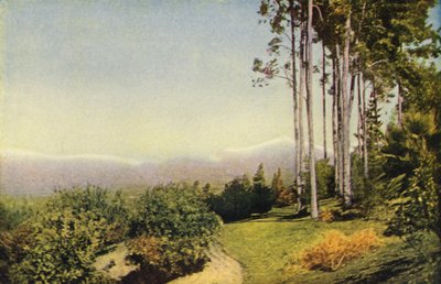 A Southern California Landscape Near Redlands by American Photographer