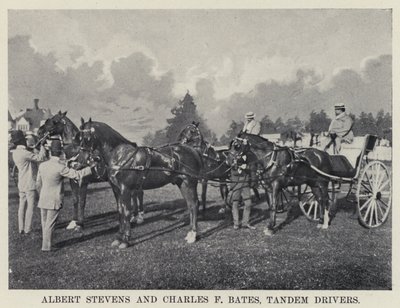 Albert Stevens and Charles F Bates, Tandem Drivers by American Photographer