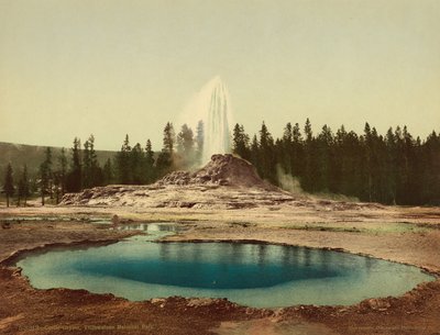 Castle Geyser, Yellowstone National Park by American Photographer
