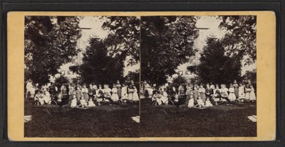 Children and playground, Oneida Community, New York State, c.1870 by American Photographer