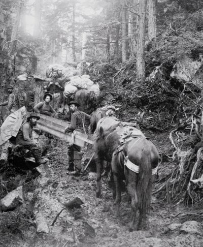 Climbing the Dyea Trail on the way to the Chilkoot Pass during the Klondike Gold Rush (1897-98) by American Photographer