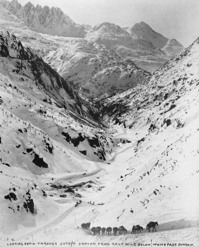 Looking down through Cutoff Canyon from half mile below White Pass Summit, during the Klondike Gold Rush by American Photographer