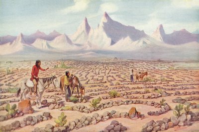 Mystic Maze of the Mojave Indians, near Needles, California by American Photographer