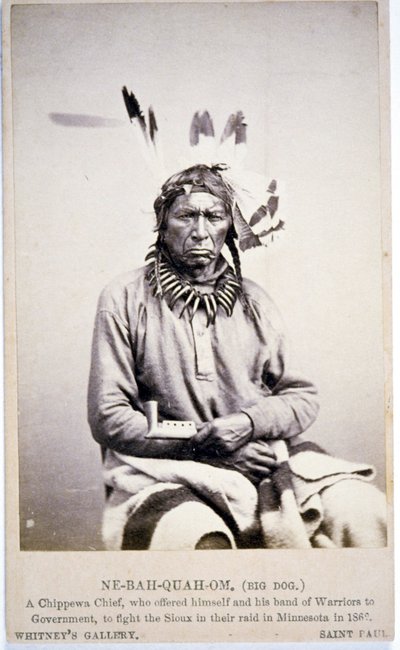 NE-BAH-QUAH-OM, Big Dog, Chippewa Chief, offered to fight Sioux in Minnesota by American Photographer