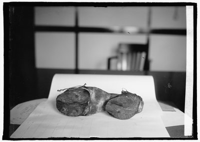 Prohibition Unit (Cow Shoes), 28 June 1924 by American Photographer
