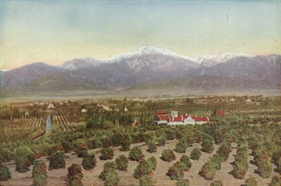 Redlands, California, View from Smiley Heights by American Photographer