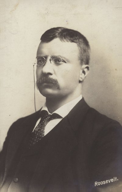 Roosevelt by American Photographer