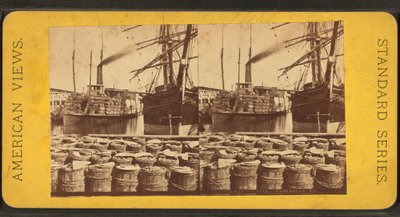 Stereoscopic View of the Steamer 
