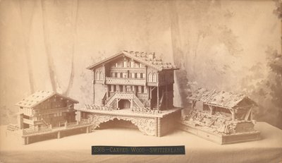 Swiss Cottages, Carved Models, Philadelphia Centennial International Exhibition, 1876 by American Photographer