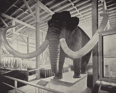 The Great Siberian Mammoth by American Photographer
