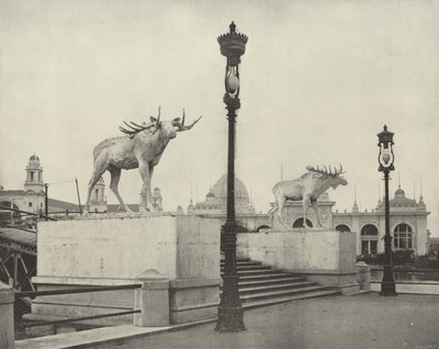 The Moose Bridge by American Photographer