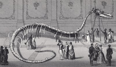 114 Foot Long Skeleton of Fake Sea Serpent 