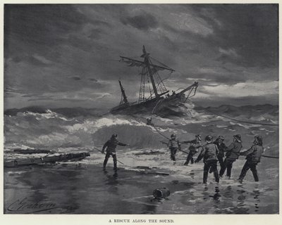 A Rescue along the Sound by American School