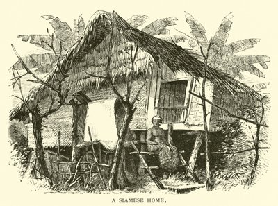 A Siamese Home by American School