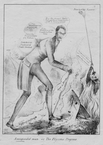 A misguided man, or, The pilgrim
