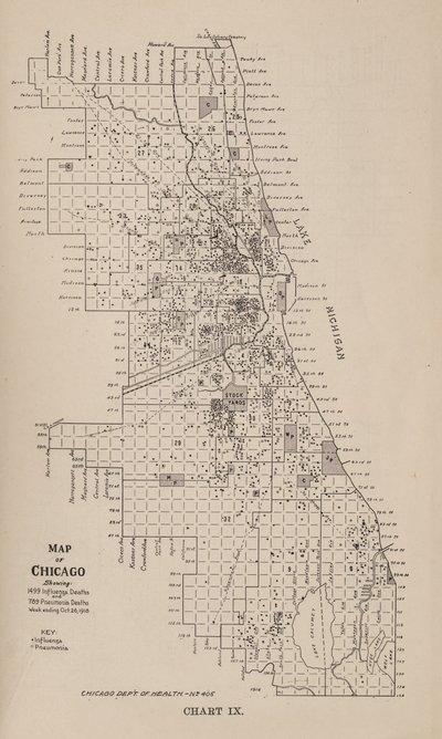 A Report on an Epidemic of Influenza in the City of Chicago in the Fall of 1918 by American School