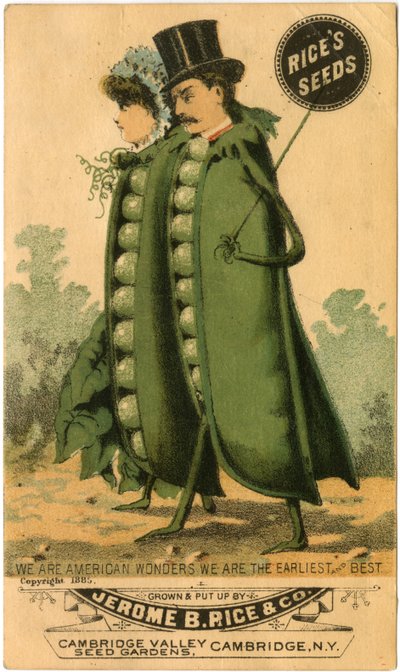 Advertisement for Rice