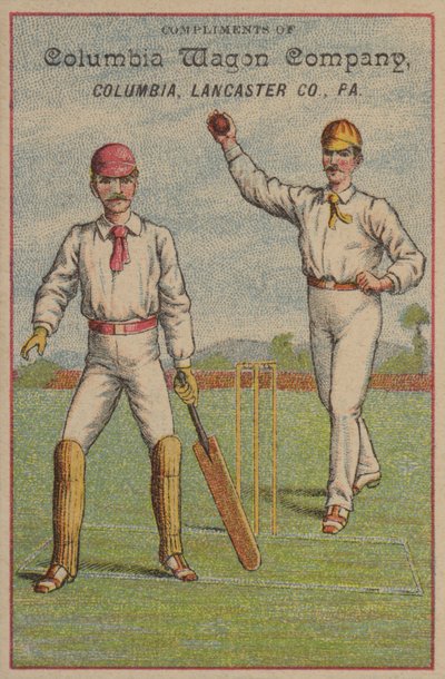American Cricket by American School